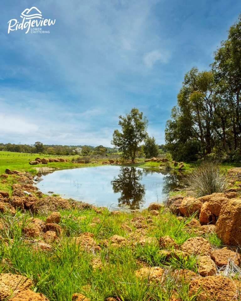 Ridgeview Estate